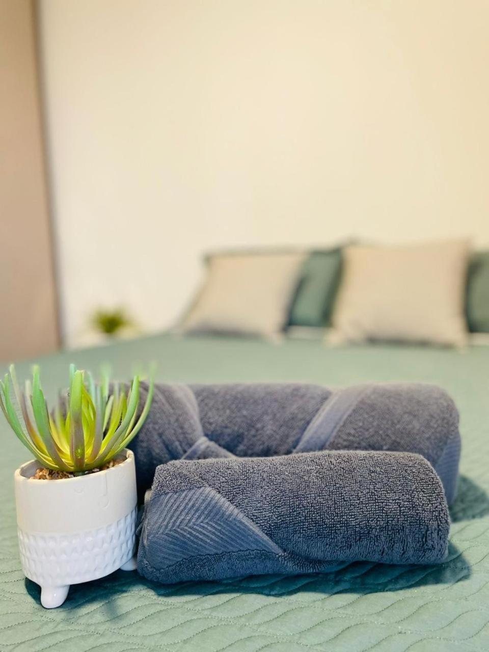 Acogedor Y Agradable Departamento Apartment